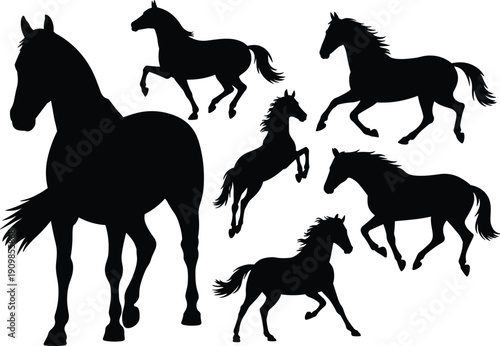 Set of black horse silhouettes featuring wild stallions in galloping trotting and rearing poses for equestrian sport design vector elements