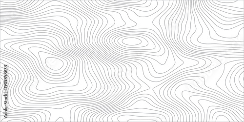 Monochrome abstract topographic contour line pattern on transparent background, featuring flowing gray elevation curves that illustrate terrain relief in a clean modern map design. 
