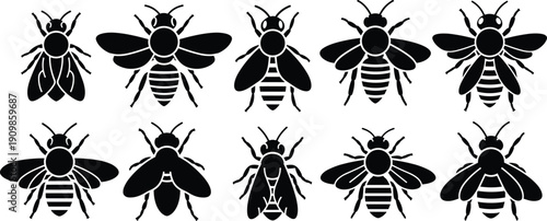 Vector silhouettes of diverse bee designs with unique wings, body patterns, and antenna styles, minimalist black insect artwork for nature, entomology 