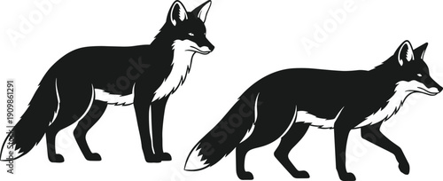 Stylized fox silhouettes in standing and walking poses with contrasting black and white fur for wildlife and design themes