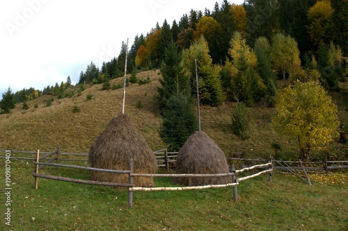 raditional Haystacks in Carpathian Mountain Village