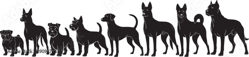 Comprehensive Black Silhouette Collection of Various Dog Breeds Including Pug Terrier Retriever and Guard Dogs Standing in a Row Isolated on a White Background