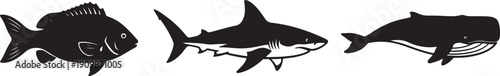 Black silhouettes of fish, shark, and whale swimming, vector icons, isolated on transparent background, png, for illustration or design