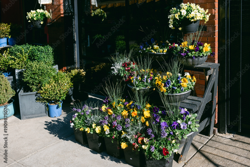 Fototapeta premium Flower display on a sidewalk with colorful plants and pots during the daytime in a city setting