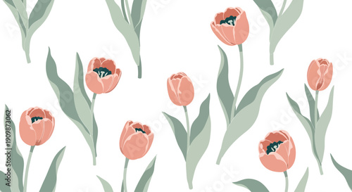 Illustration of pink tulips with green leaves on white background viewed from above