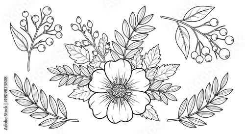 Line drawing of a floral arrangement with leaves and flowers from an overhead viewpoint