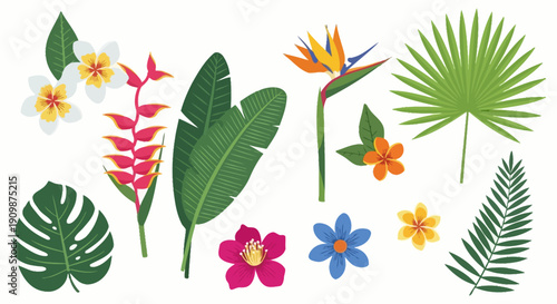 Tropical leaves and flowers arrangement in a decorative collection viewed from directly above in a flat illustration style