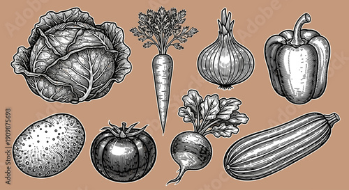 Assorted vegetables and fruits arranged in a detailed illustration on a simple background from a direct viewpoint