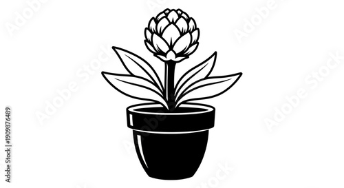 A potted artichoke plant with leaves in a pot from a front view
