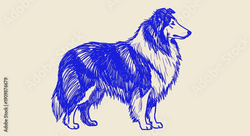 A standing collie dog illustration showcasing its detailed fur and profile view