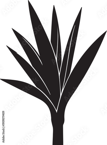Tropical exotic plant black silhouette vector illustration showing long pointed leaves fanning out