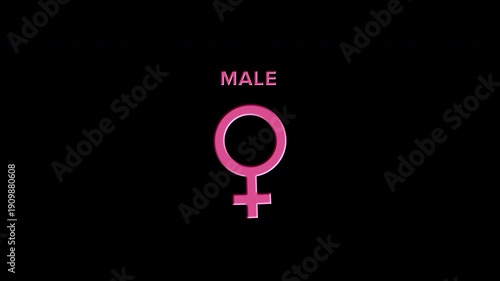 Male to Female Gender Symbol Morph Animation on Transparent Background