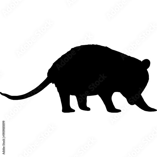 Opossum Silhouette