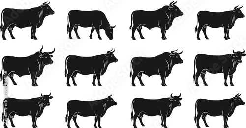 Black silhouette vector set of various cattle breeds, grazing cows, powerful bulls, livestock farming icons, and rural agriculture animal collection.
