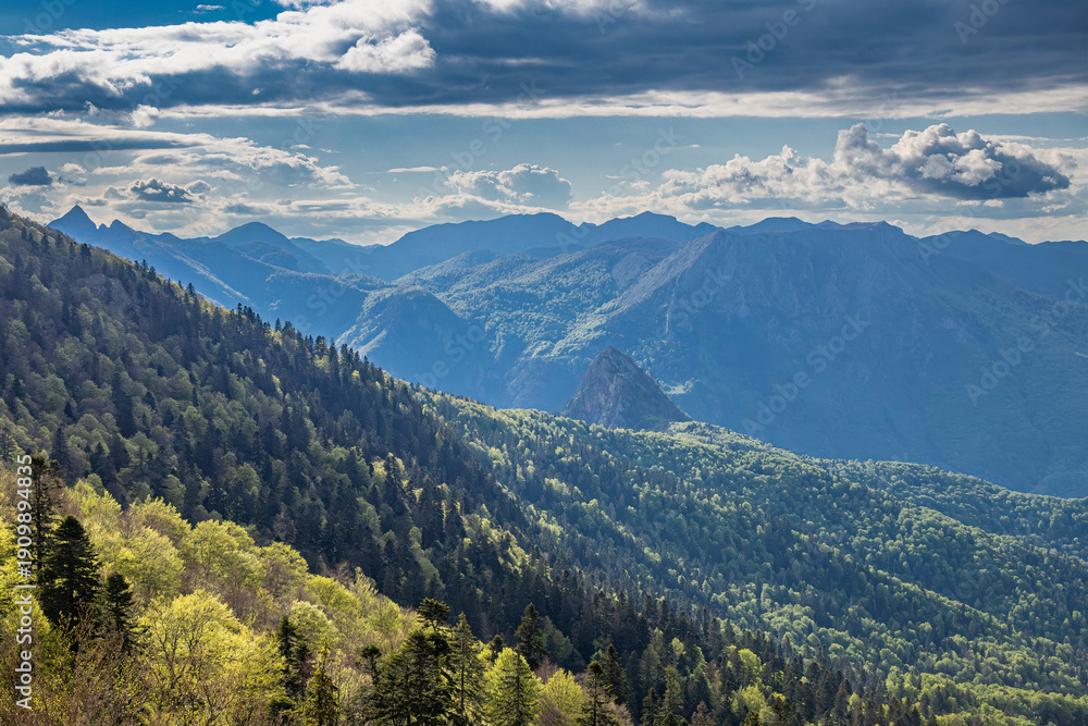 Fototapeta premium Mountains in Perucica Forest Reserve in Sutjeska National Park.