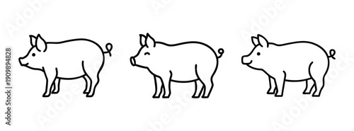 Three cute pigs illustration vector drawing for farm animals coloring book page and piglet design