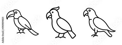 Three tropical parrots line art vector illustration for coloring page and design element needs