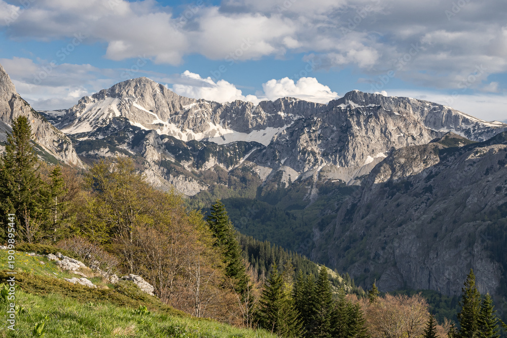 Fototapeta premium Rugged mountains in Perucica Forest Reserve in Sutjeska National Park.