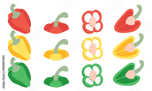 set of peppers. Vector illustrations of bell peppers in different colors. Set of bell pepper vector illustrations