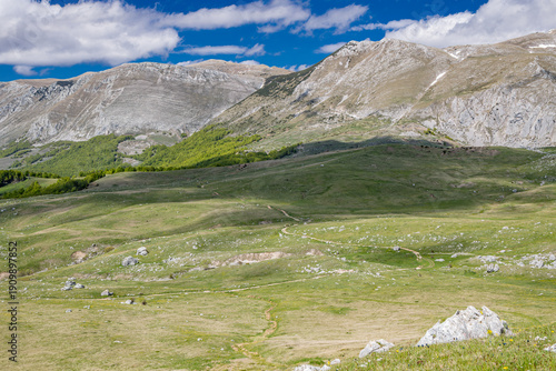 Mountain meadow in Sutjeska National Park.