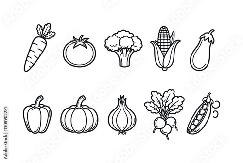 Vegetable outline icon set. carrot, tomato, broccoli, corn, eggplant line icons.