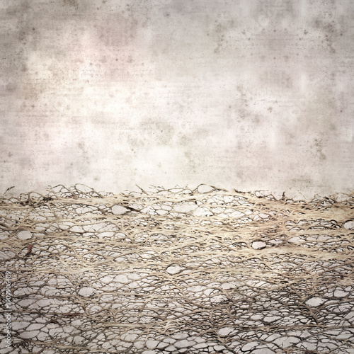 stylish textured old paper square background with inner part of Opuntia cactus dry dead stem