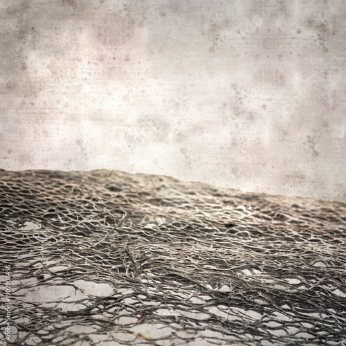 stylish textured old paper square background with inner part of Opuntia cactus dry dead stem