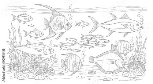 Detailed line art illustration of diverse marine fish species and underwater sea life, perfect for a children's coloring book.