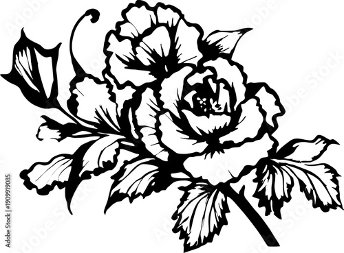 black graphic drawing of a rose flower on a white background, isolated element, decor