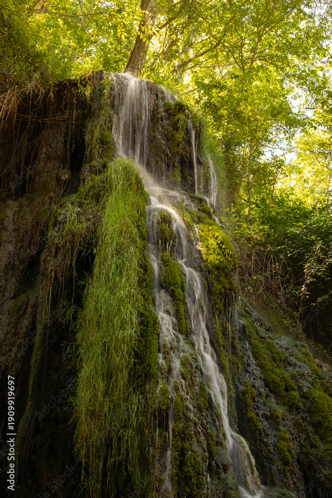 Obraz premium waterfall in the forest
