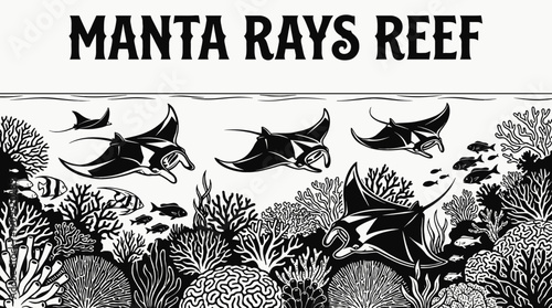 underwater ocean landscape with manta rays swimming above coral reef in tropical black and white sea aquatic environment representing marine wildlife nature ecosystem exploration and diving