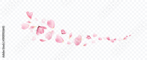 Pink flower falling frame overlay effect on transparent background.