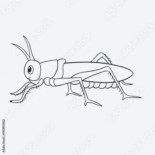 grasshopper vector illustration. Hand drawn. 