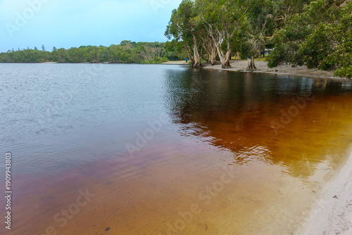 Lake Ainsworth is a small freshwater tea-tree lake known for its dark, tannin-stained water