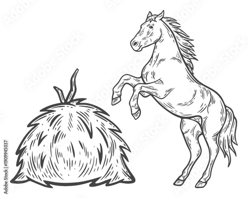 Horse standing on rear legs, near hay, straw, set, farm animals, lifestock engraving isolated
