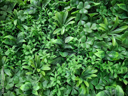 Wallpaper Mural Green artificial covering made of plants placed on the ground for decoration and landscaping purposes in an outdoor setting Torontodigital.ca