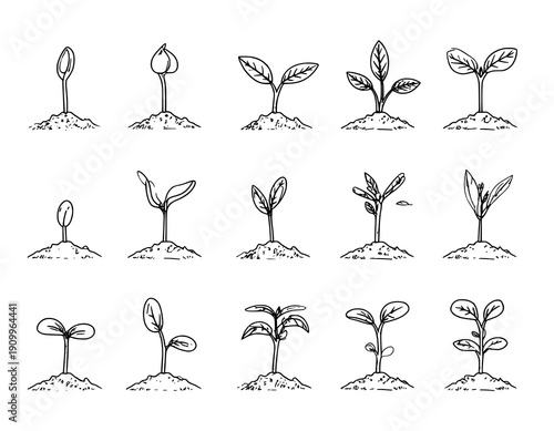 Hand drawn growing sprout plant doodle icon set showing seed germination growth stages outline vector collection