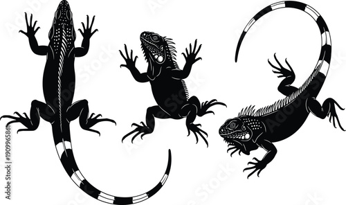 Black and white iguana lizard silhouettes set, tropical exotic reptile collection with detailed scales and long tails, wild jungle nature flat vector icons