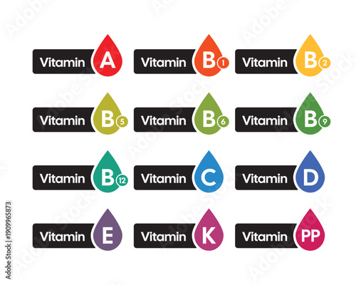 Professional Vitamin Supplement Icon Set – High-Contrast Nutrients and Minerals Infographic Icons