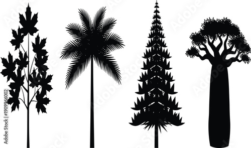 Black and white tree silhouettes set, maple palm pine and baobab collection, tropical and temperate nature wildlife flat vector icons for landscaping design