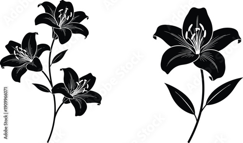 Black lily flower silhouette collection with blooming petals and floral stems, cad drawing flat vector illustration, isolated on white background, botanical set