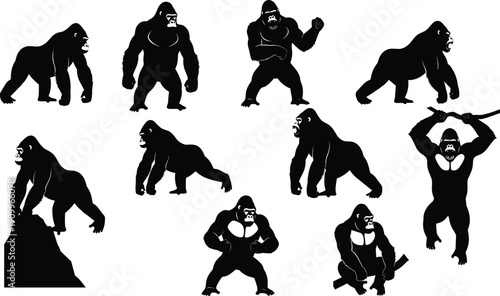 Black gorilla silhouette collection with silverback apes in powerful poses, cad drawing flat vector illustration, isolated on white background, jungle primate animal set