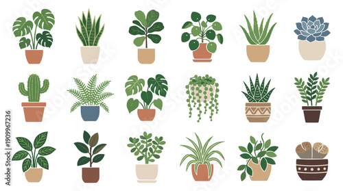 Large collection of various houseplants in pots, featuring monstera, succulent, and cactus in a modern flat illustration style for home decor and botanical concepts