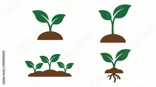 Green plants growing in soil. Spring Vector Packs. EPS Editable