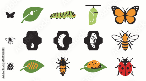 Insects and metamorphosis icons set. Spring Vector Packs. EPS Editable
