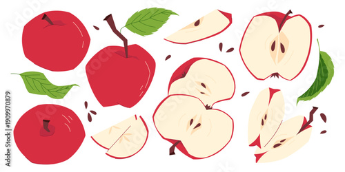 Set of red apples with whole fruits, slices, leaves and seeds, fresh organic fruit isolated on white background, healthy snack and harvest concept