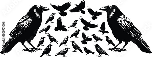 Black and white crow and raven silhouette vector illustration set with a flock of birds for gothic branding halloween decor and mystical nature graphics.
