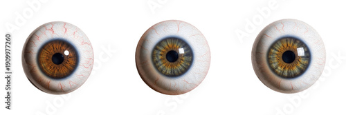 Fotografie Human eyeball isolated on white background, ocular anatomy, sclera, cornea, iris