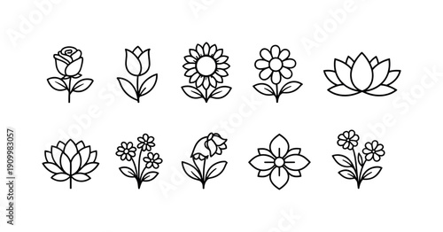 Floral outline icon set. Rose, daisy, lotus linear icons for nature collections