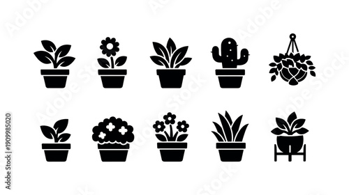Plant, gardening solid icon set. Houseplants, cactus icons collection in solid design